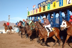 Horses dash out of the starting gate during the race on Saturday.