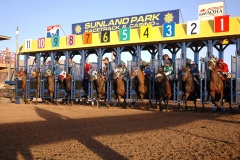 Horses dash out of the starting gate during the race on Saturday.